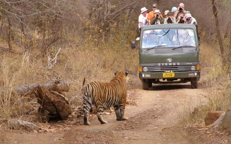 22 Days Rajasthan Tour with Jaisalmer, Ranthambore, Agra and Varanasi